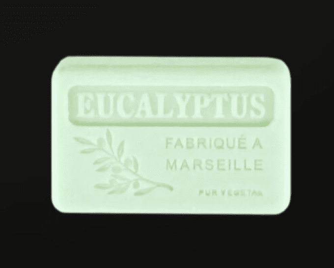 Le savon de Marseille - Eucalyptus