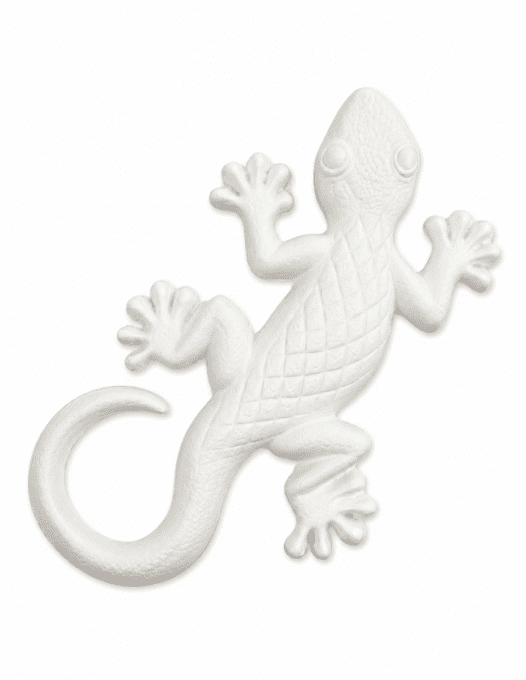 La salamandre à parfumer